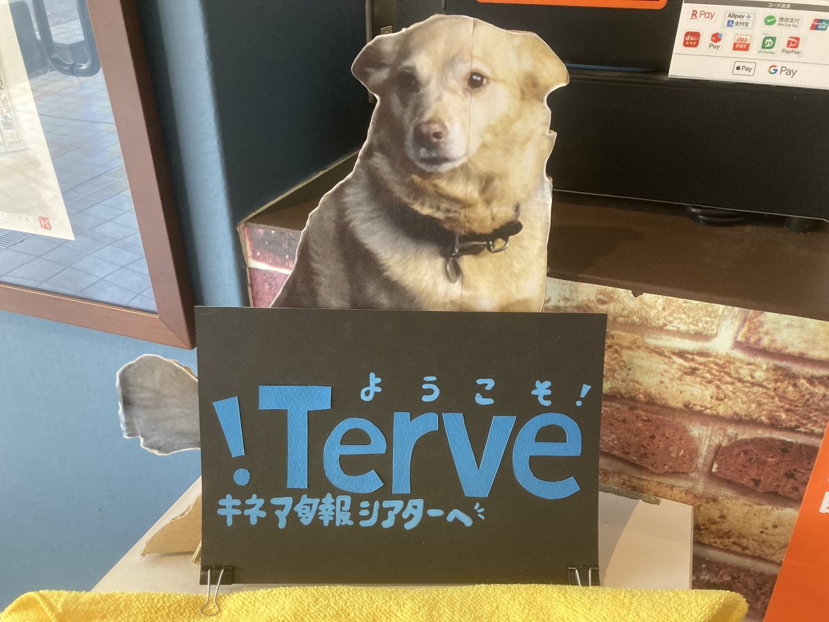 入口では可愛いわんこがお客様をお出迎え