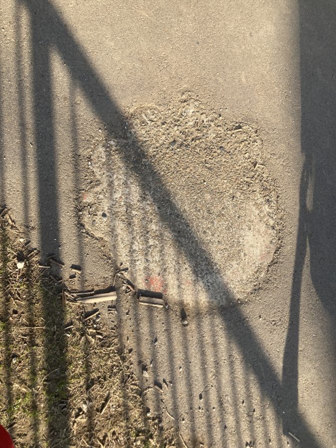 恐竜の足跡かな!?