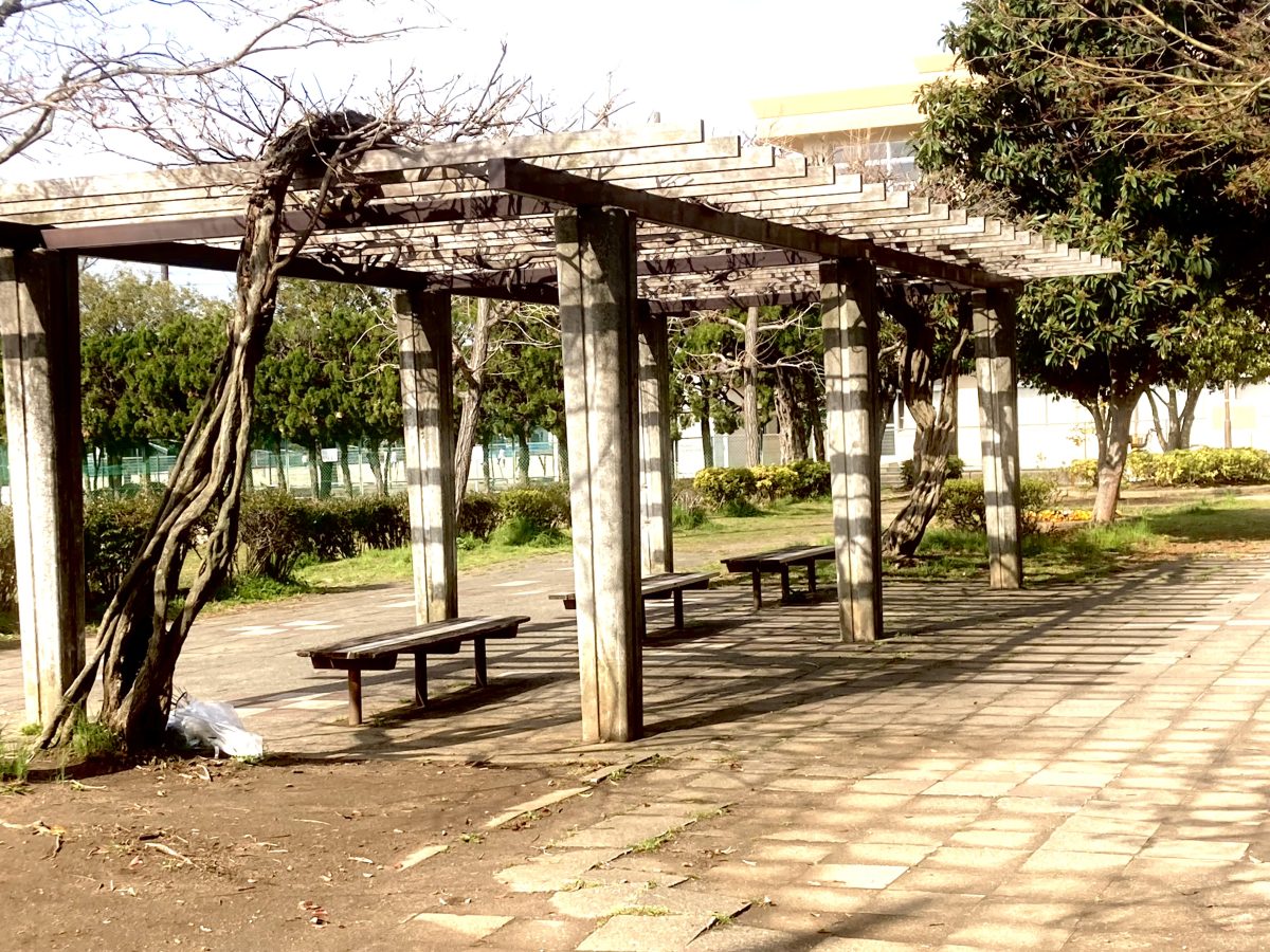 素敵なベンチもあります♩季節になると上部に素敵な藤が咲き、奥の木には琵琶がなります