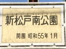 【松戸市】我が家の推し公園でお花見♪新松戸南公園