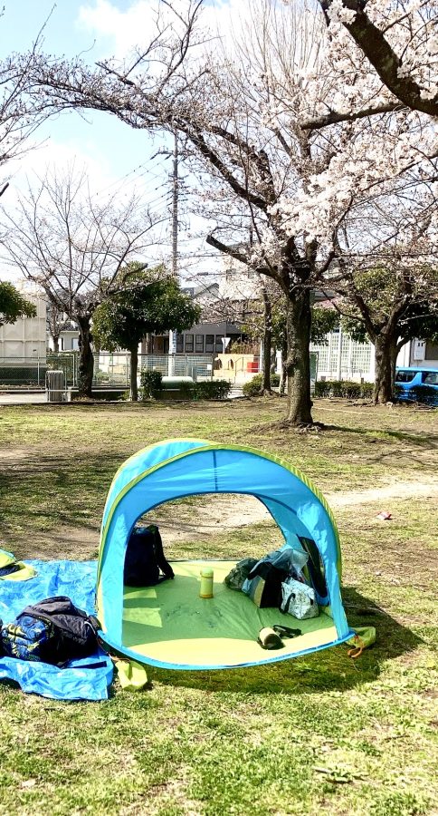 準備万端、年に一度のお楽しみ!