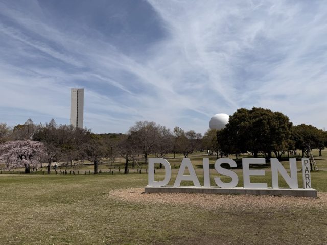 【堺区】大仙公園にお花見行って来ました〜♡  〜開花状況〜
