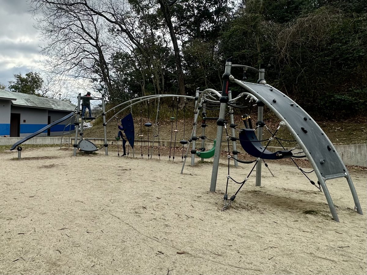 見たことのない遊具に大興奮