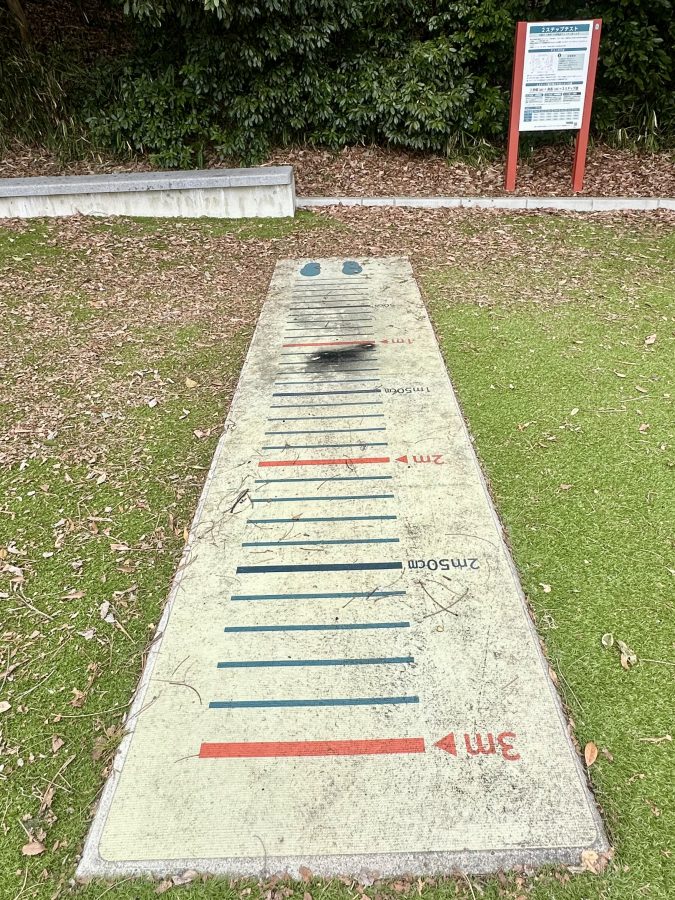 2ステップテスト