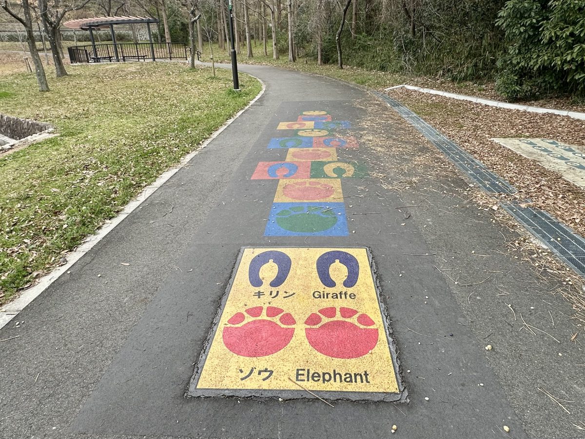 動物バージョンのけんけんぱ