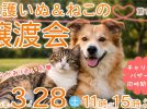 【高槻市】3月28日（土）「保護いぬ＆ねこの譲渡会」が安満遺跡公園で開催！