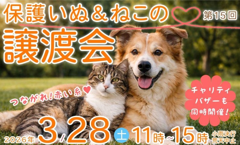 【高槻市】3月28日（土）「保護いぬ＆ねこの譲渡会」が安満遺跡公園で開催！