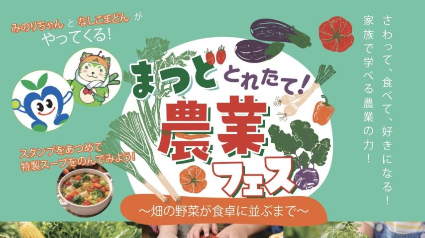 【松戸市】畑から食卓へ！「とれたて！まつど農業フェス」で地元の恵みを大満喫♪