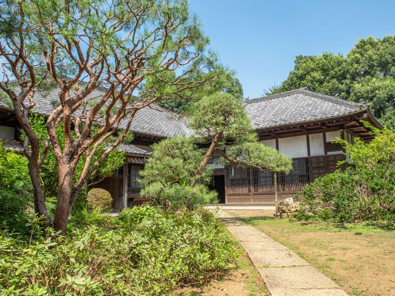 染谷家住宅は4年にわたる大改修のあと、2024年秋に一般公開が始まったばかり。