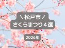 【松戸市】2026年さくらまつりまとめ｜常盤平・六実・八柱・国分川（3月29日・30日）