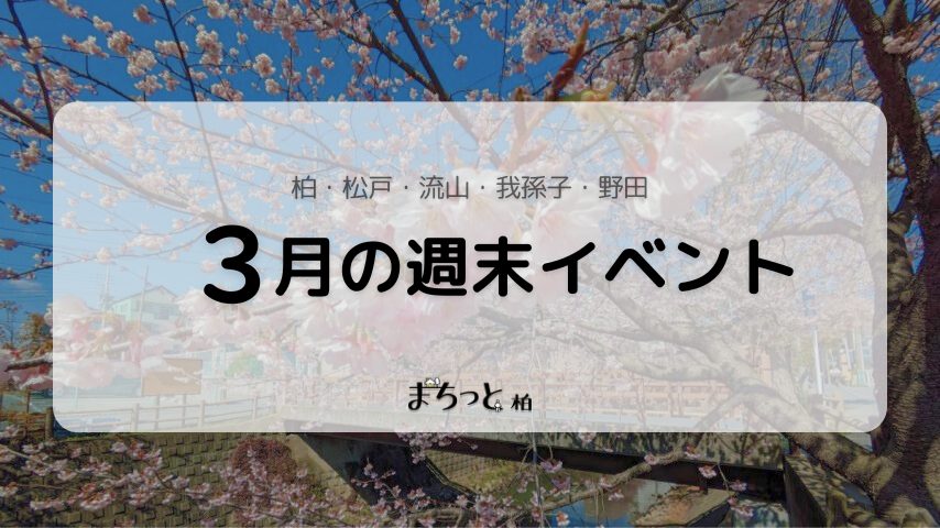 【今週末のイベントまとめ♪】2026年3月7日(土)〜3月8日(日)編