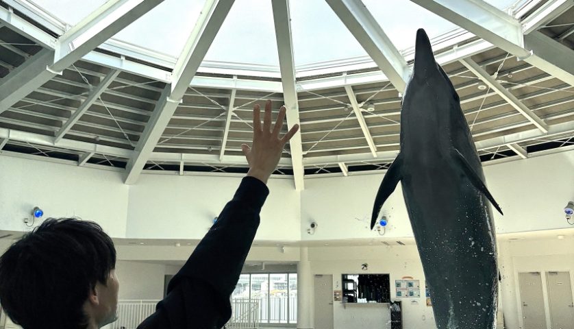 【堺】「ノアドルフィンドーム」で一周年記念イベントが2026年3月20日（金祝）～開催！ステッカー配布や特別割引など！