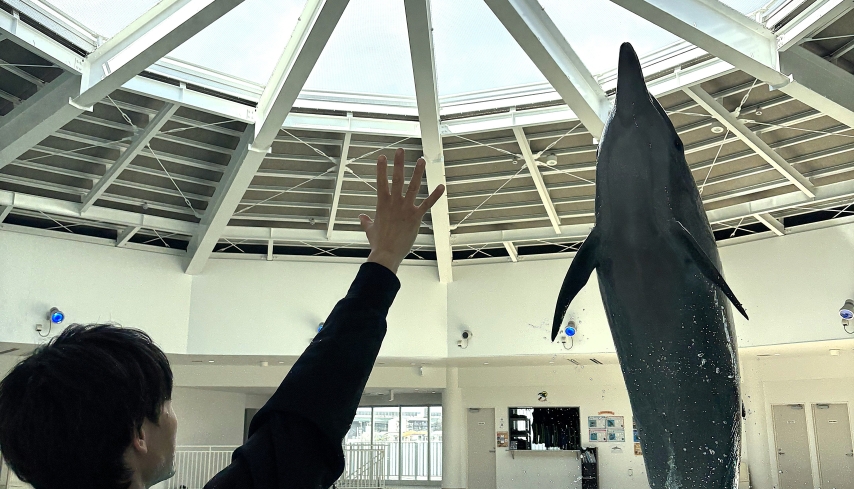 【堺】「ノアドルフィンドーム」で一周年記念イベントが2026年3月20日（金祝）～開催！ステッカー配布や特別割引など！