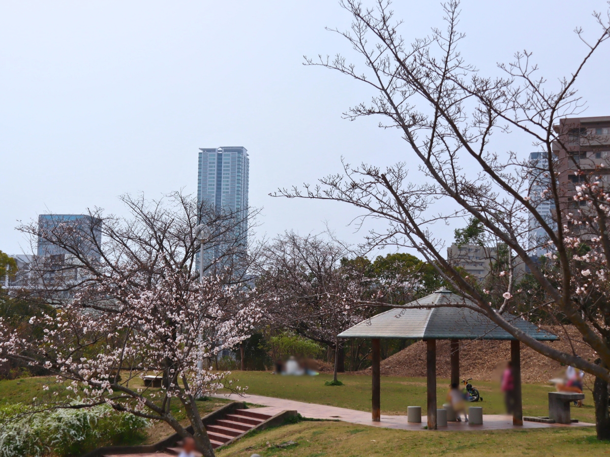 丘の上からは千里中央の街並みも見え、開放感のある景色が広がります。