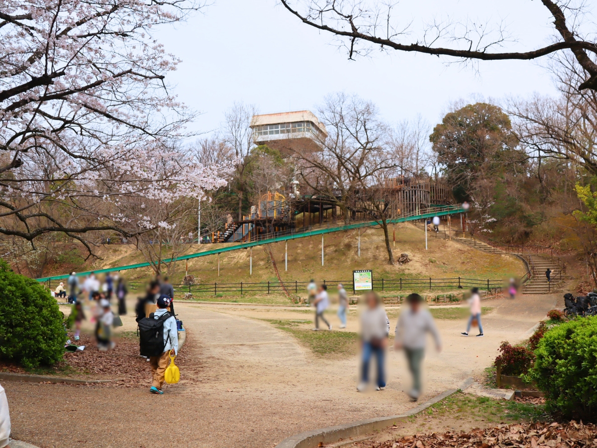 ローラーすべり台がある「冒険の森」も人気。お花見のついでに遊べるのも嬉しいポイントです。