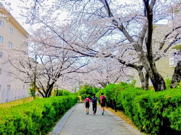 【吹田市】　ここが好きっ