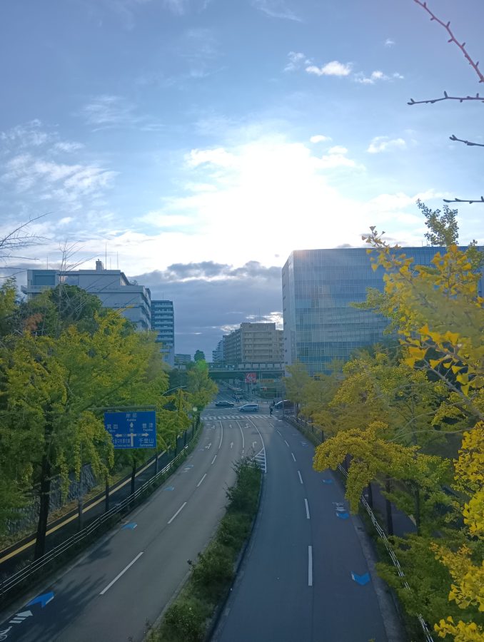 走りやすい道路。　うちの妻、目のつけどころいいでしょ(笑)