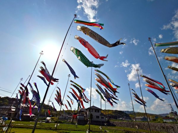 晴天の太陽とこいのぼり