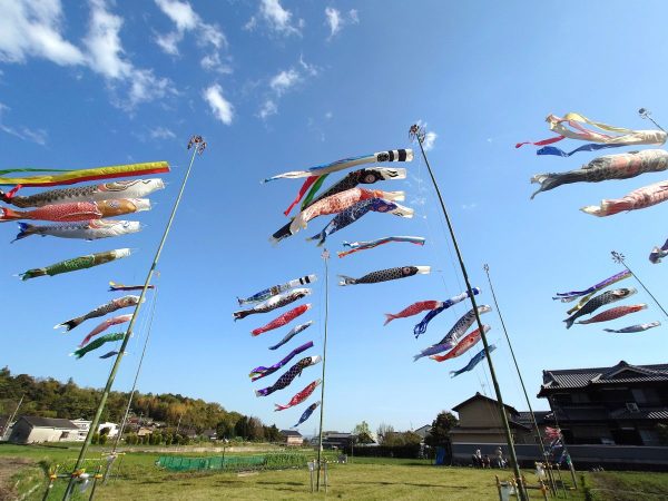 そよそよと気持ちよさそうなこいのぼり