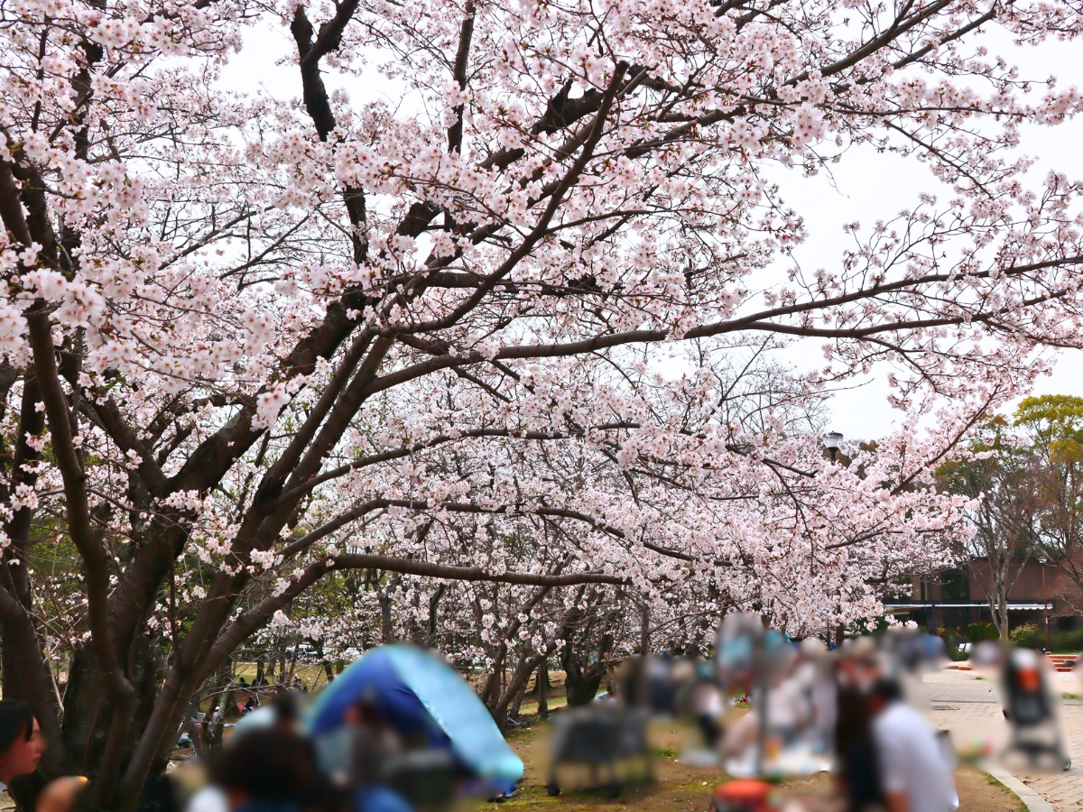 南広場周辺は人が多く、通路もかなりにぎわっていました。