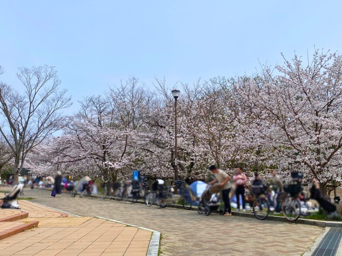 通路沿いも人が多く、ベビーカーや自転車の行き来もあり、かなり混雑した印象でした。