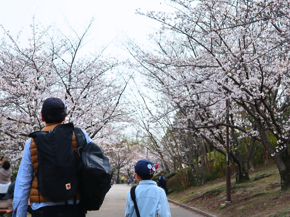 桜の下を歩く時間も、春ならではの楽しみ。親子でのんびり過ごすのにもぴったりの場所でした。