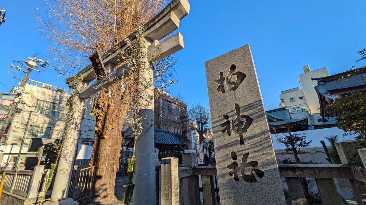 【柏市】桜や「昭和の日」の御朱印も～令和8年4月の季節の御朱印は･･･＠柏神社・豊受稲荷本宮・大洞院