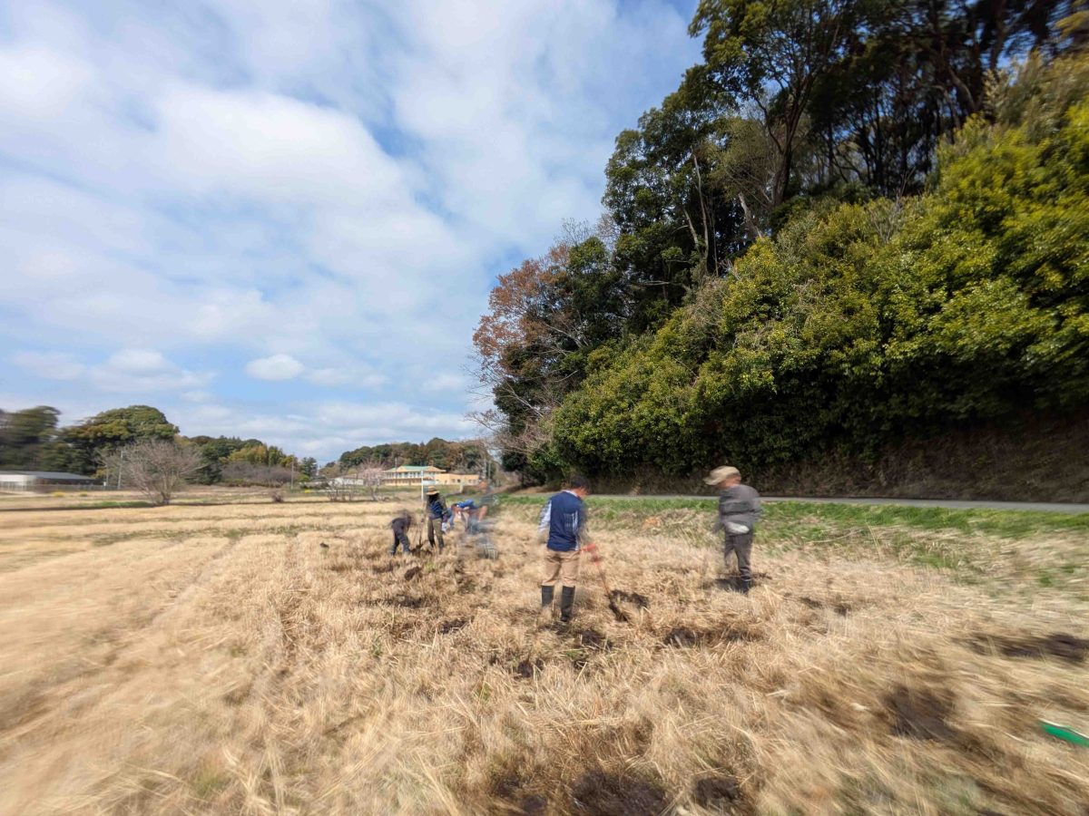 第一回田起こしの様子