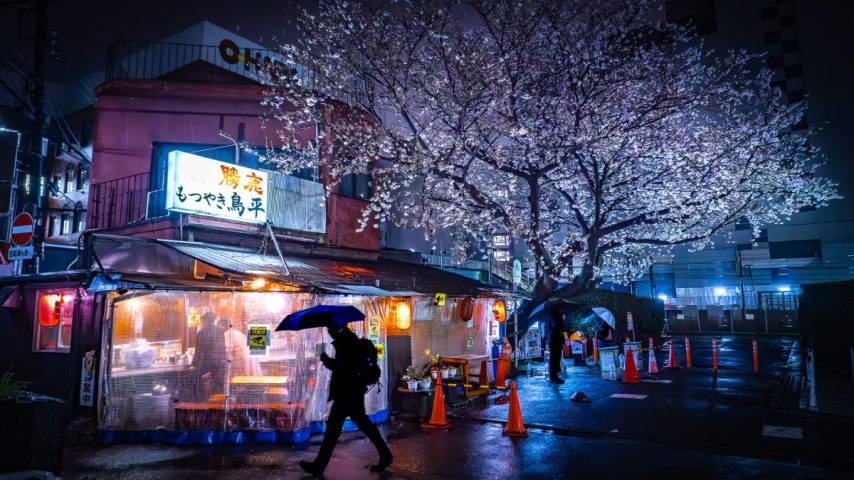 【柏市】ジモト風景  〜柏の「さくら風景」を探して。〜