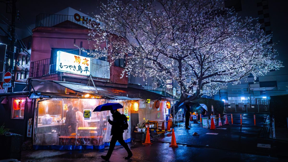 【柏市】ジモト風景 〜柏の「さくら風景」を探して。〜