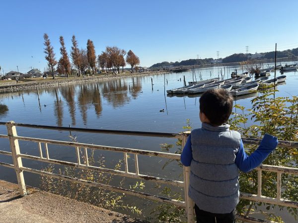 まちっと柏とは？地域情報サイトを超えた「つながるプラットフォーム」