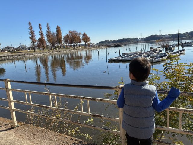 まちっと柏とは？地域情報サイトを超えた「つながるプラットフォーム」