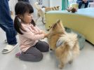 【流山市】動物好きキッズ必見！ANELLA CAFE（アネラカフェ）南流山店で犬・猫カフェ体験レポ