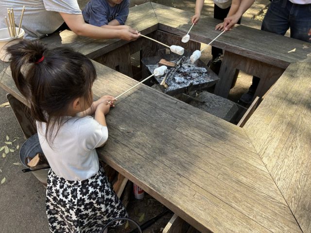 【柏市】手賀の丘公園で焼きマシュマロ＆ハンモック体験！家族で1日楽しめるスポット