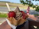 【柏市】そのべ農園のいちごアイスが絶品！親子で楽しめる直売スポット