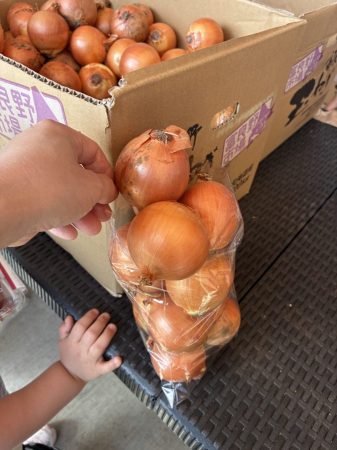道の駅しょうなん　玉ねぎ詰め放題