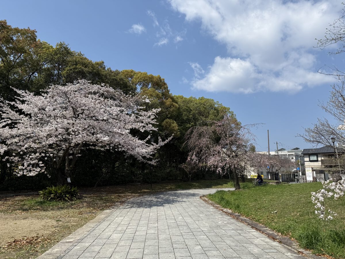 この場所は　ブライダル撮影で良く使われていますね