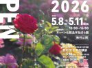 【吹田市】歴史あるバラ園の危機を救う！？取り組み。2026年5/8(金)〜11(月)オッペンローズウィーク開催♪