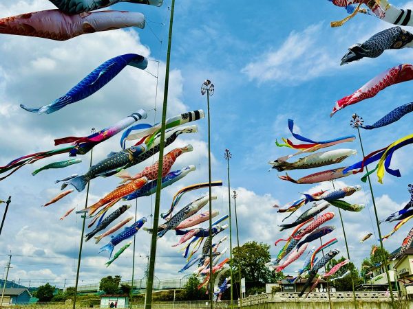 こいのぼり全景