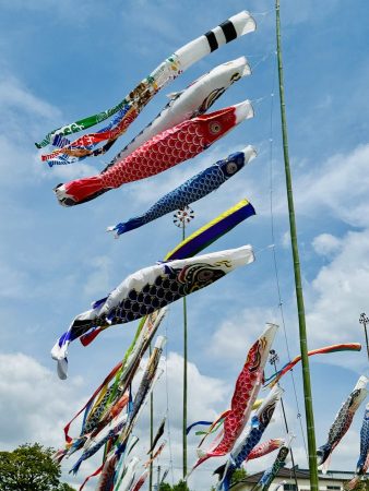 こいのぼり近影