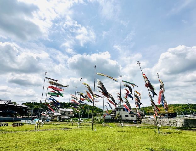 【茨木市】今年も空高くおよぐ鯉のぼりの風景を見たくて。～5/5まで