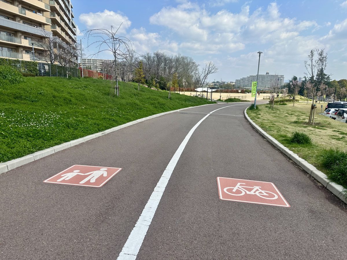歩行者と自転車に分かれた園路