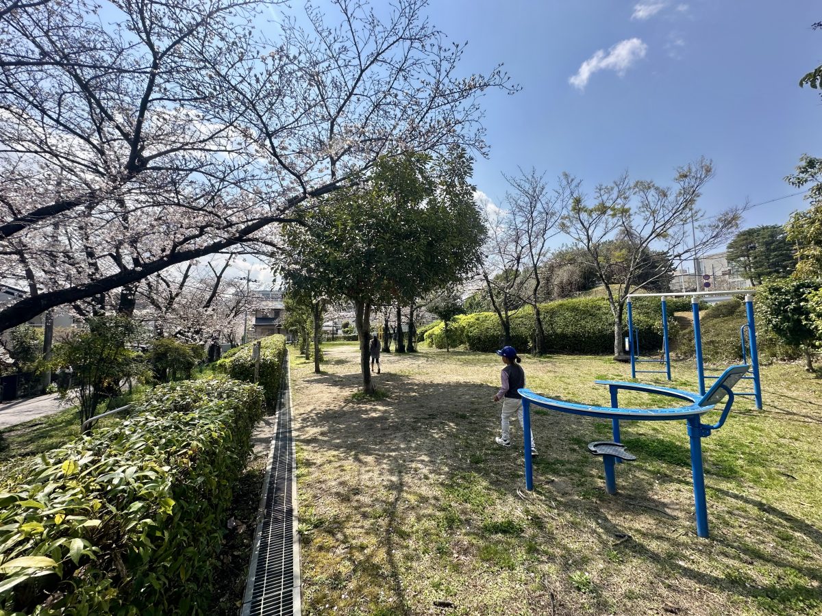 この景色こそ「さくら公園」