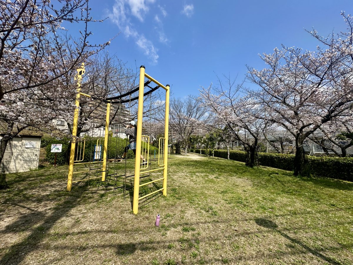 遊具で遊びながらお花見