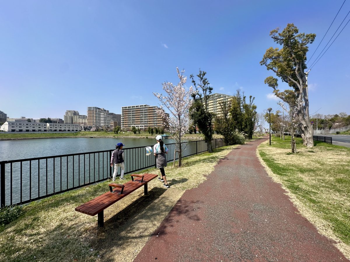 気持ちのいい周遊路