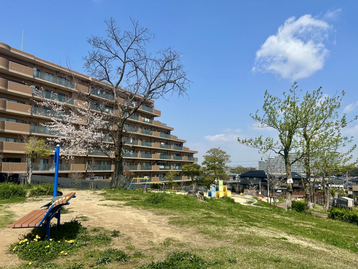 最後の大木の残された枝に咲く桜