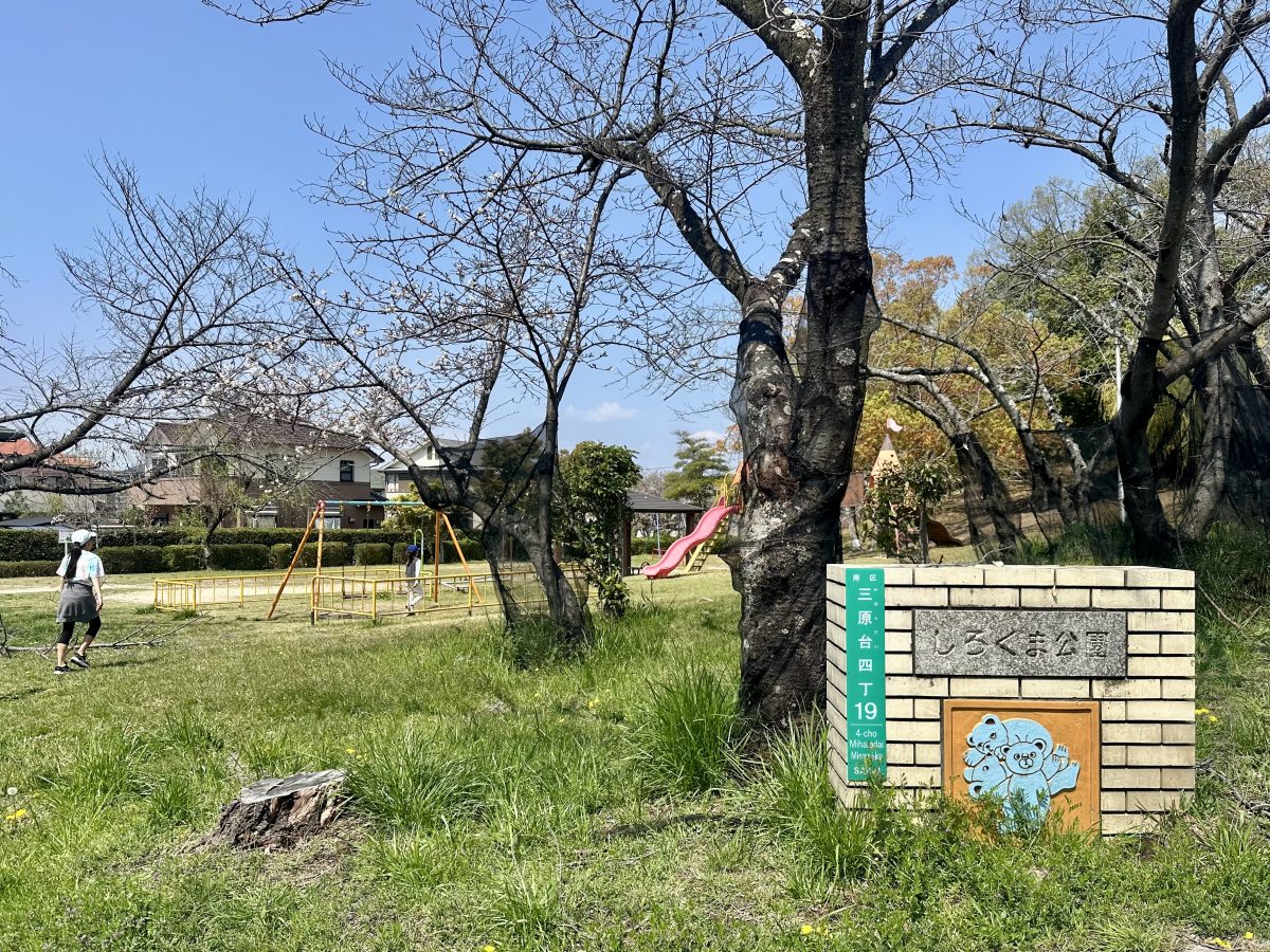 三原しろくま公園の銘板の向こうは静かな桜景色