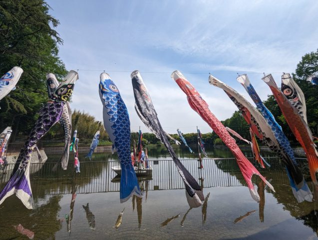 【吹田市】4/25(土)～5/10(日)　桃山公園にて「鯉のぼりイベント」開催！🎏✨