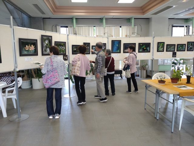 【柏市】5月22日(金)～26日(火)｜写真展「こんな素敵な野草たち」が開催されます！