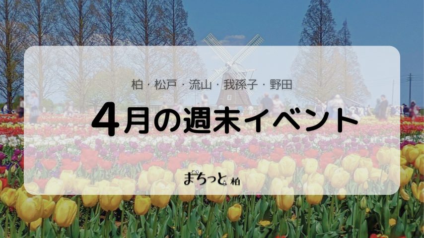 【今週末のイベントまとめ♪】2026年4月11日(土)〜12日(日)編